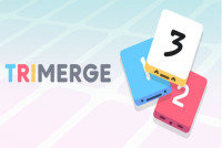 TriMerge img